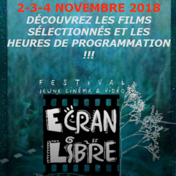 4 courts-métrages sélectionnés au festival Écran Libre